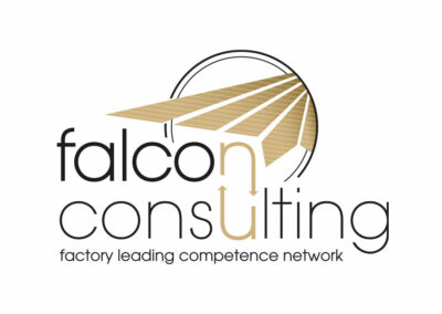 Fal­con Consulting